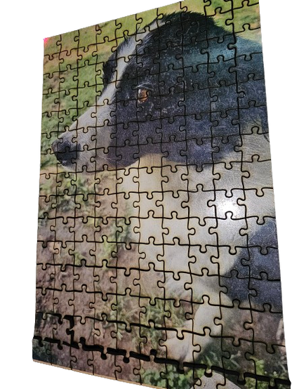 Personalised photo-puzzle