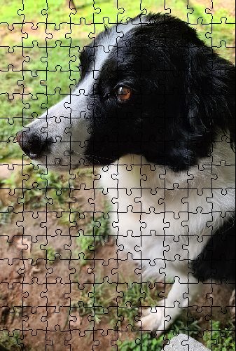 Digital personalised puzzle